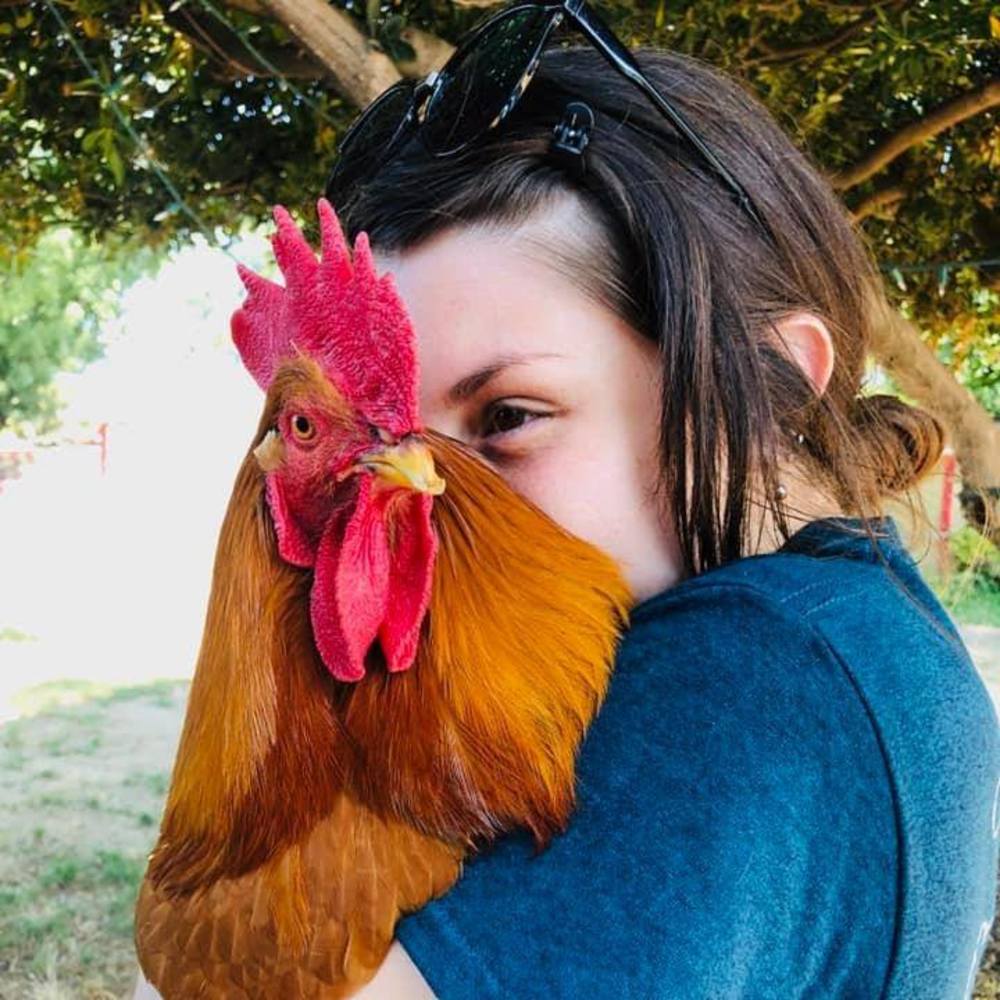 Meet your Posher, Rachel